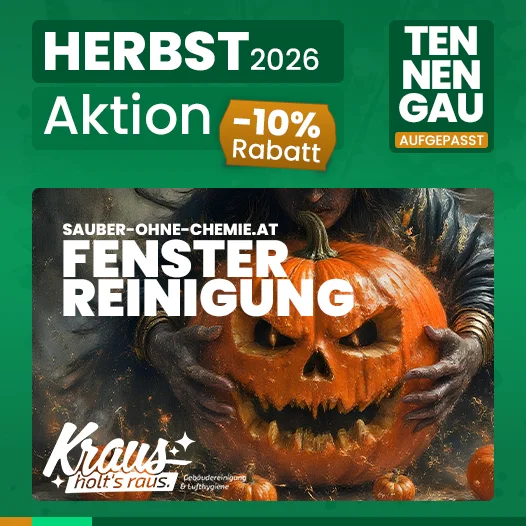 Autumn 2026 offer: window cleaning with 10 % off, Tennengau take note
